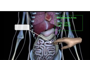 Interactive Anatomical